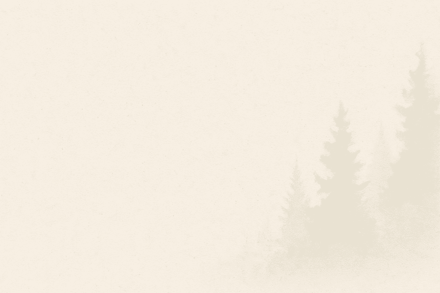 Forest edge at sunset